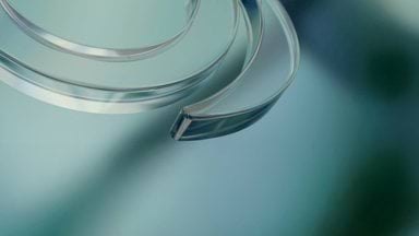 Integrity Oversight Victoria Integrityoversight Vic Gov Au